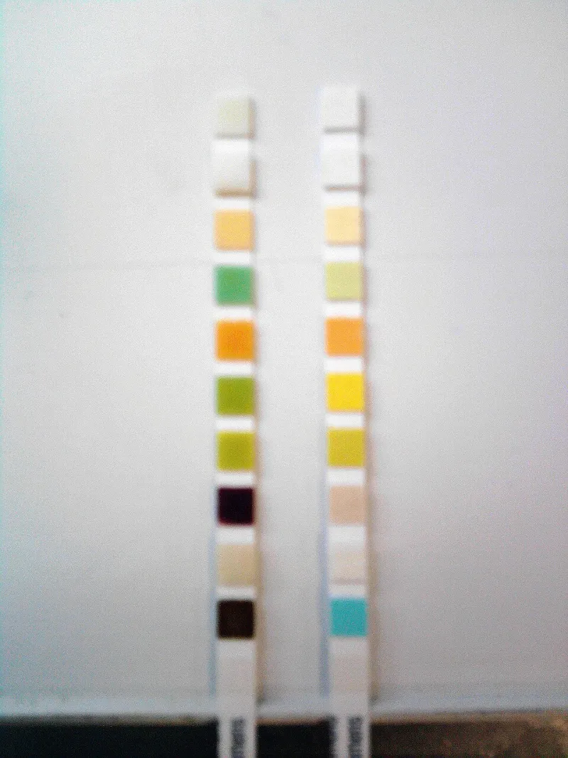 Pool Chemistry 101: What Your Vaginal pH Is Actually Doing (And What Marketing Gets Wrong)